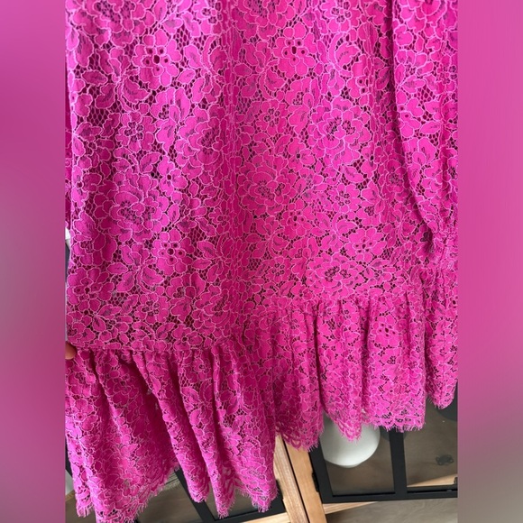 J. CREW lace long sleeve mini dress mock neck ruffle drop hem a-line bump pink - Picture 6 of 10